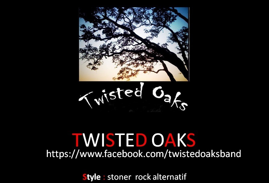 FILEminimizer-diapo_twisted_oaks.jpg