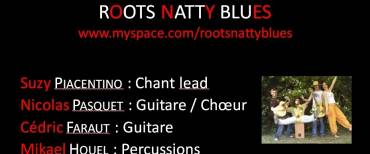 diapo_roots_natty_blues